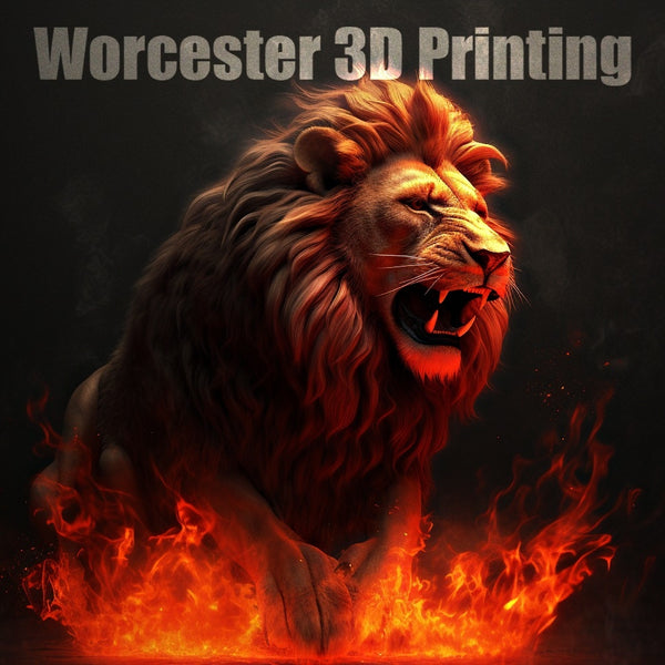 Worcester 3D Printing