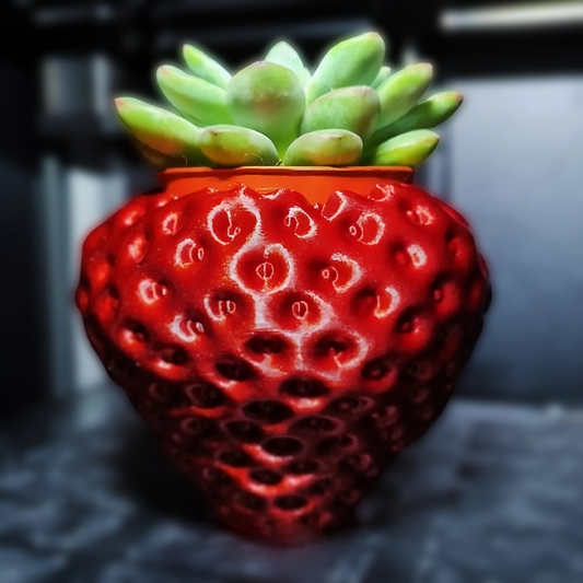 Strawberry Planter